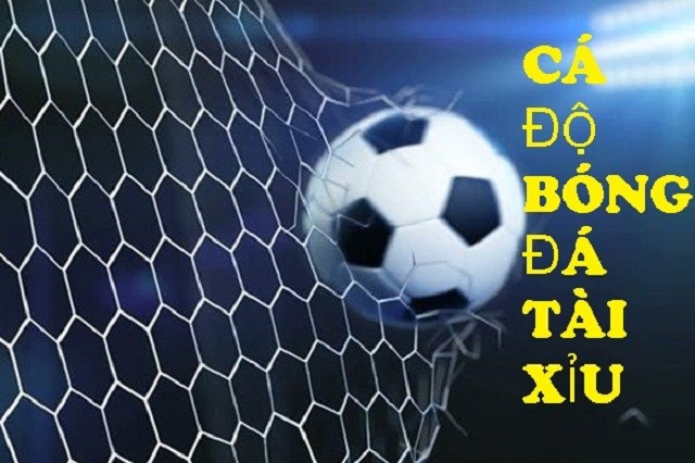 Soi kèo tài xỉu 3 ½ trái dựa vào thông tin trận đấu