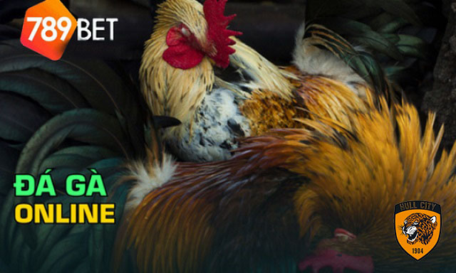 app đá gà uy tín
