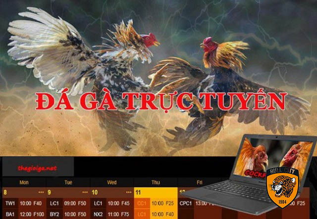 nhà cái đá gà uy tín