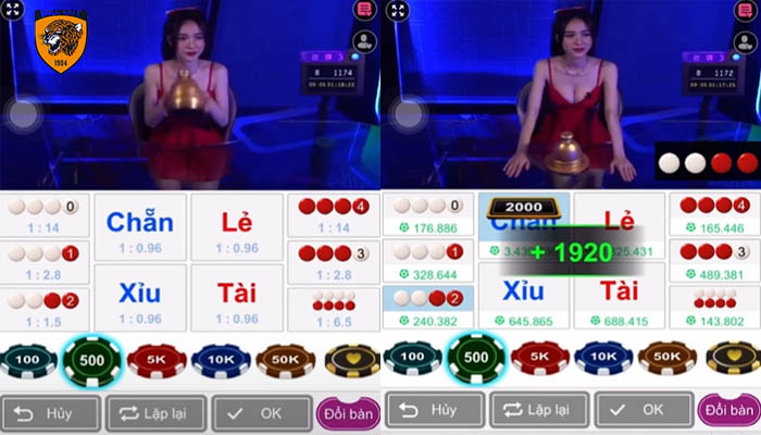 cách đọc vị xóc đĩa online