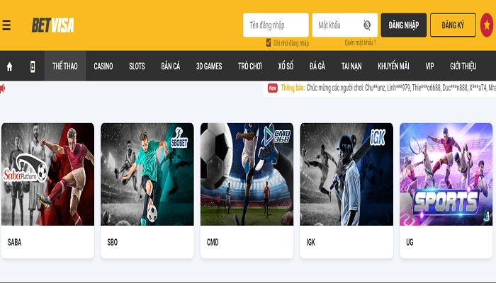 Trang cá cược esport online