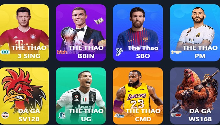 Ứng dụng chơi đá gà online